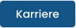 Karriere