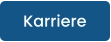 Karriere