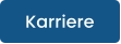 Karriere