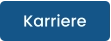 Karriere