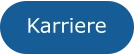 Karriere